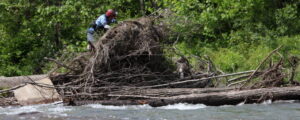 debris on the Esopus