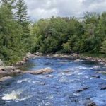 Pretty much like this from Nelsons Lake 'outlet' down to the confluence with the South Branch. At this level it is a fun bouncy ride.