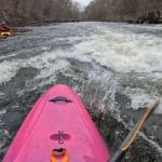 Tariffville Section (Farmington River)