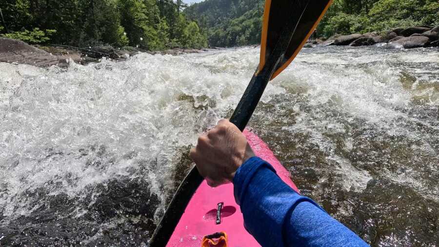 Hudson Gorge (III)